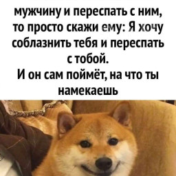 Vov4ik, 46