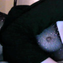 ariellaxxx
